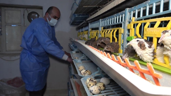 Foto - Markette bulamayınca kendi üretti... Şimdi siparişlere yetişemiyor