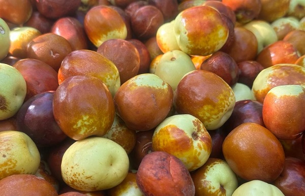 Markette bulunmuyor pazarda satılıyor! Bunu yiyen hasta olmuyor