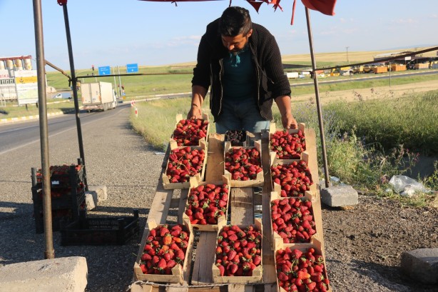 Foto - Marketten çıktı şimdi paraya para demiyor
