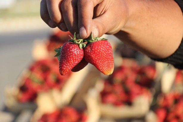 Foto - Marketten çıktı şimdi paraya para demiyor