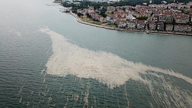 Foto - Marmara Denizi hasta, oksijen azalıyor azot ve fosfor oranı artıyor