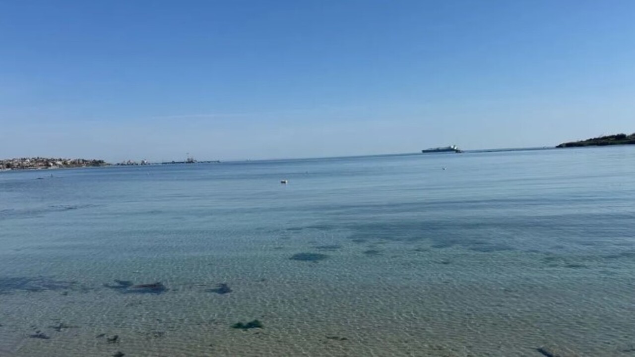 Foto - Marmara Denizi istila altında! 40 metreye kadar iniyor