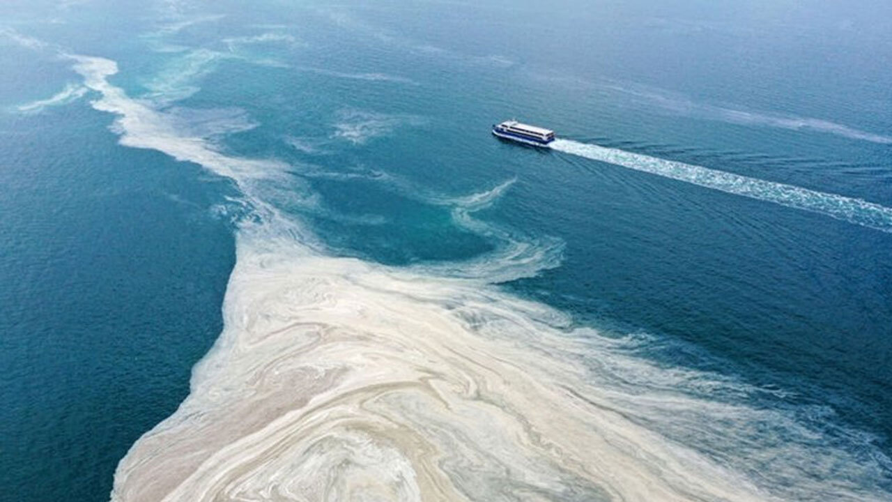 Marmara Denizi istila altında! 40 metreye kadar iniyor