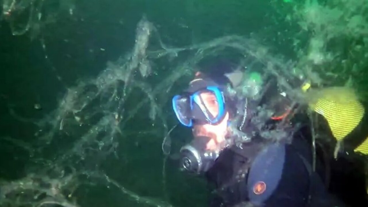 Foto - Marmara Denizi istila altında! 40 metreye kadar iniyor