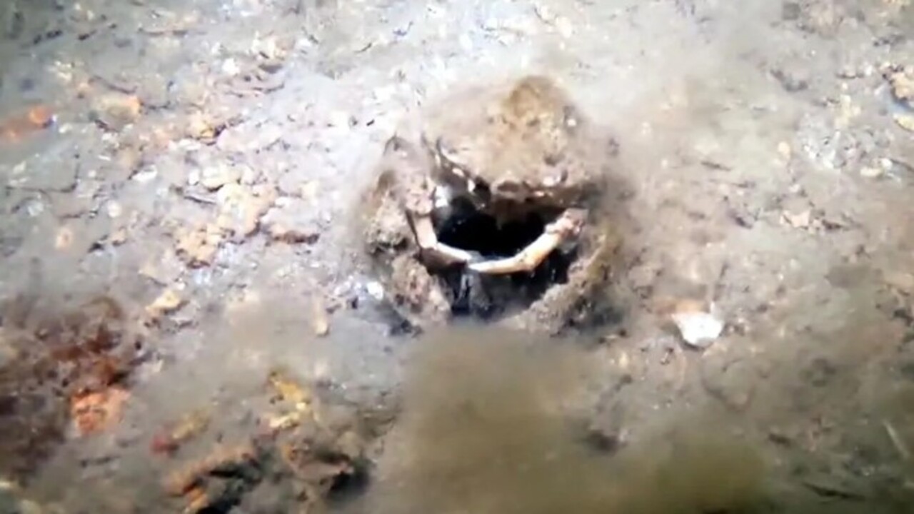 Foto - Marmara Denizi istila altında! 40 metreye kadar iniyor