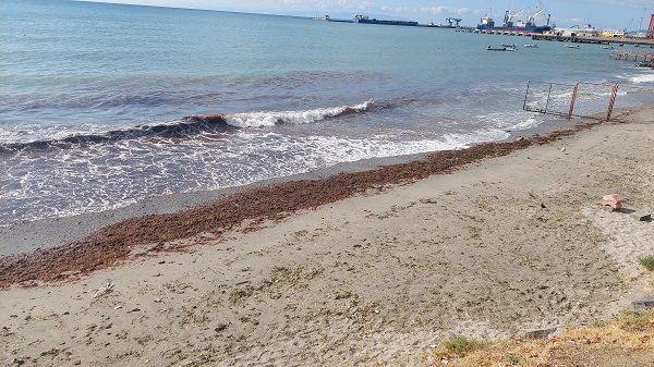 Foto - Marmara Denizi kızıla boyandı