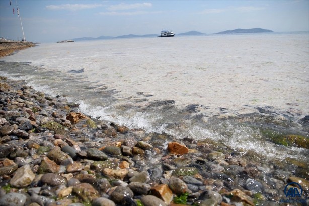 Foto - Marmara Denizi nasıl kurtarılacak