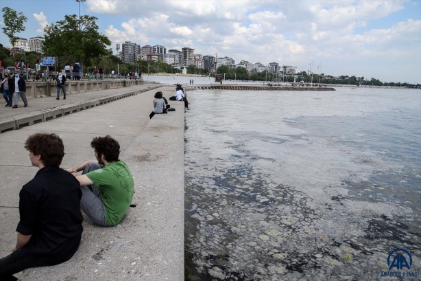 Foto - Marmara Denizi nasıl kurtarılacak