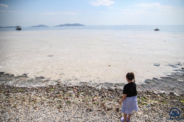 Foto - Marmara Denizi nasıl kurtarılacak