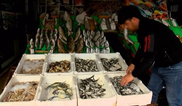 Foto - Marmara Denizi'nde büyük tehlike, türler azalıyor! Böyle giderse bu balıkları bir daha göremeyebiliriz