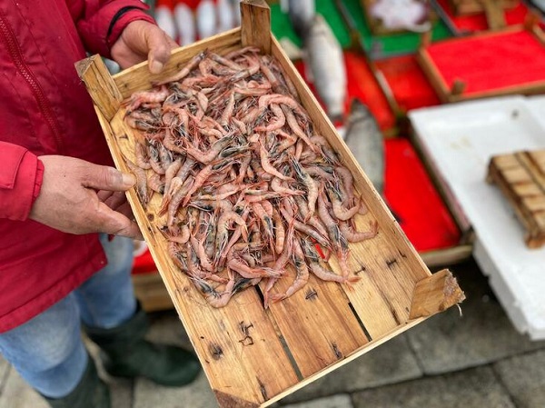 Foto - Marmara Denizi'nde büyük tehlike, türler azalıyor! Böyle giderse bu balıkları bir daha göremeyebiliriz