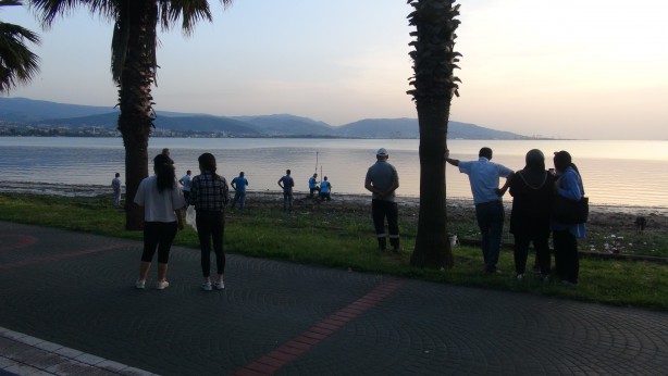 Foto - Marmara Denizi'nde endişelendiren görüntü! Ölü halde kıyıya vurdu