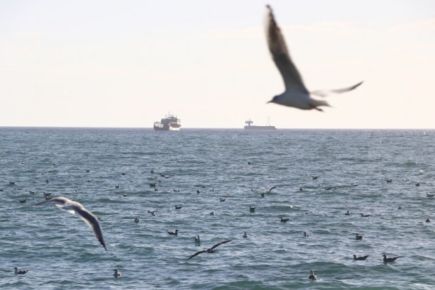 Foto - Marmara Denizi'nde lodos