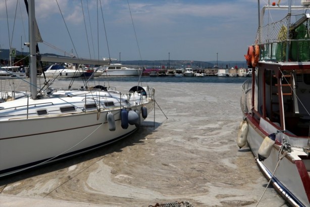 Foto - Marmara Denizi'nde müsilaj temizliği