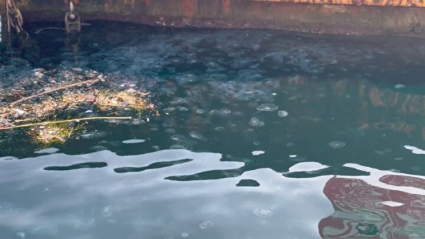 Foto - Marmara Denizi'nde tedirgin eden görüntü! Uzmanlar açıkladı: Büyük tehlike!