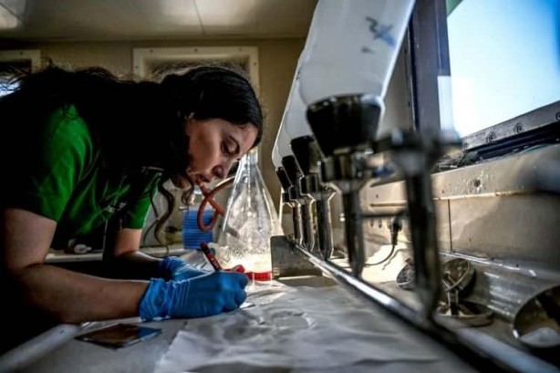 Foto - Marmara Denizi'nde tehlikeli gelişme