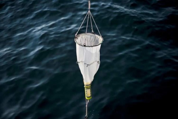 Foto - Marmara Denizi'nde tehlikeli gelişme