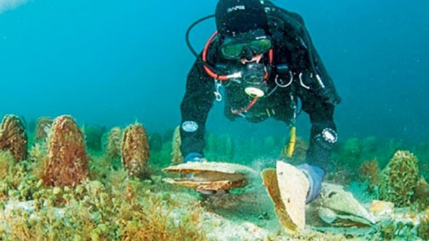 Foto - Marmara'da denizin en dibinde bulundu! Dalgıçlar şaştı kaldı