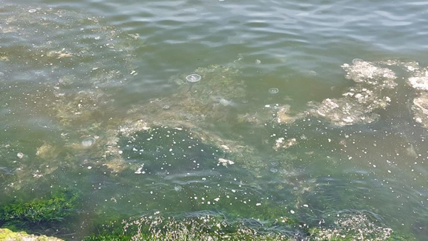Foto - Marmara'da korkutan görüntü