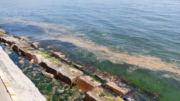 Marmara'da korkutan görüntü