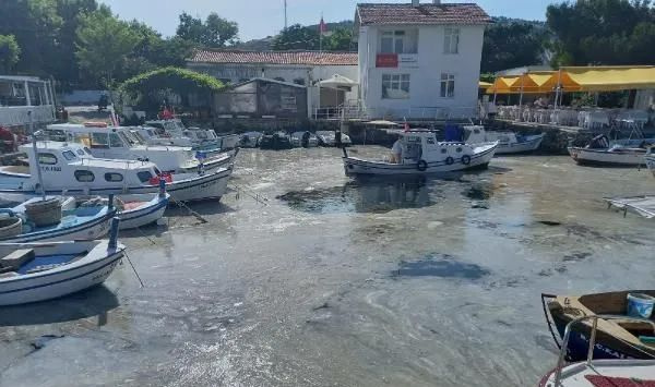 Foto - Marmara’da korkutan görüntü! Müsilaj adalara da sıçradı