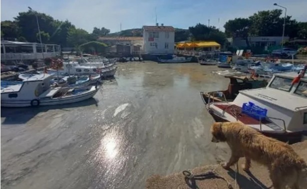Marmara’da korkutan görüntü! Müsilaj adalara da sıçradı
