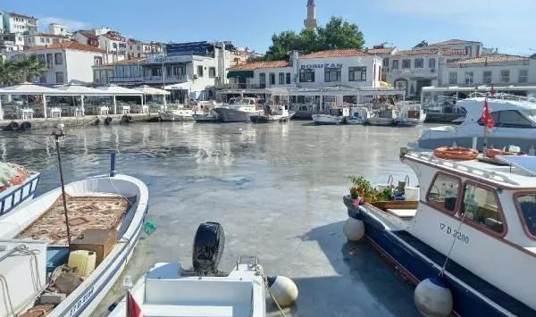Foto - Marmara’da korkutan görüntü! Müsilaj adalara da sıçradı