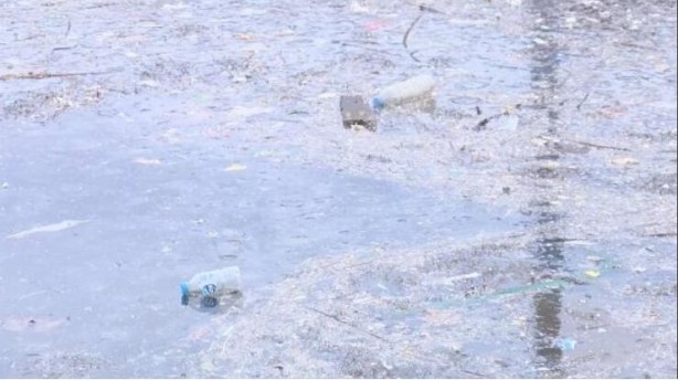 Foto - Marmara'da müsilaj sonrası denizanası tehlikesi