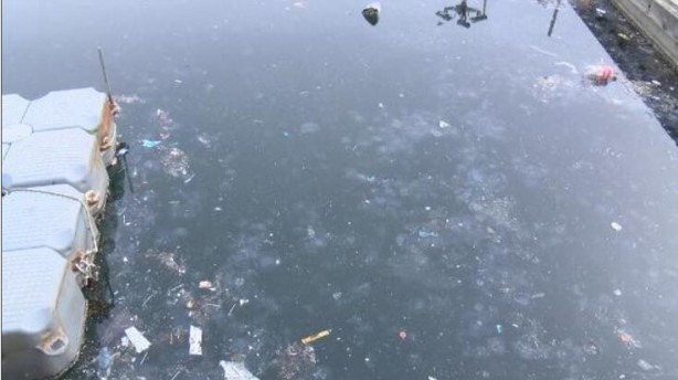 Foto - Marmara'da müsilaj sonrası denizanası tehlikesi