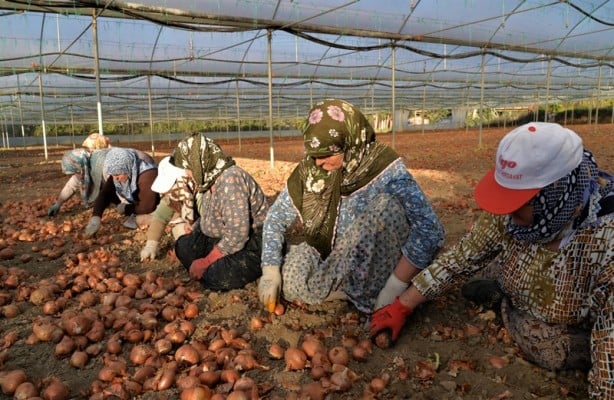 Foto - Marmara’nın küçük Antalya’sında yeni mesai