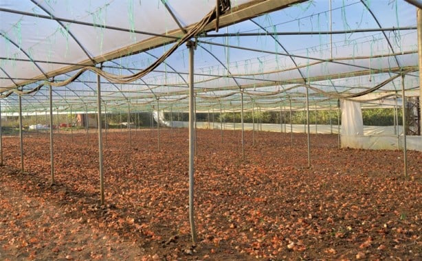 Foto - Marmara’nın küçük Antalya’sında yeni mesai