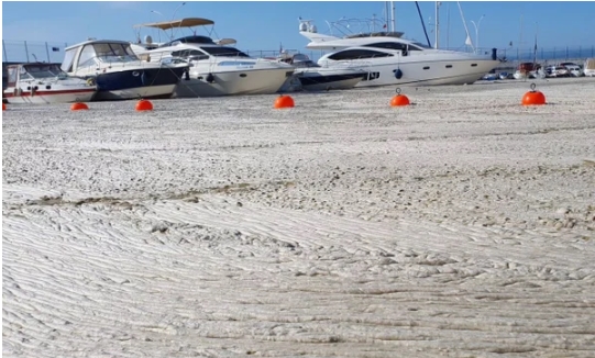 Foto - Marmara'nın son hali korkuttu! "Beton gibiydi..."