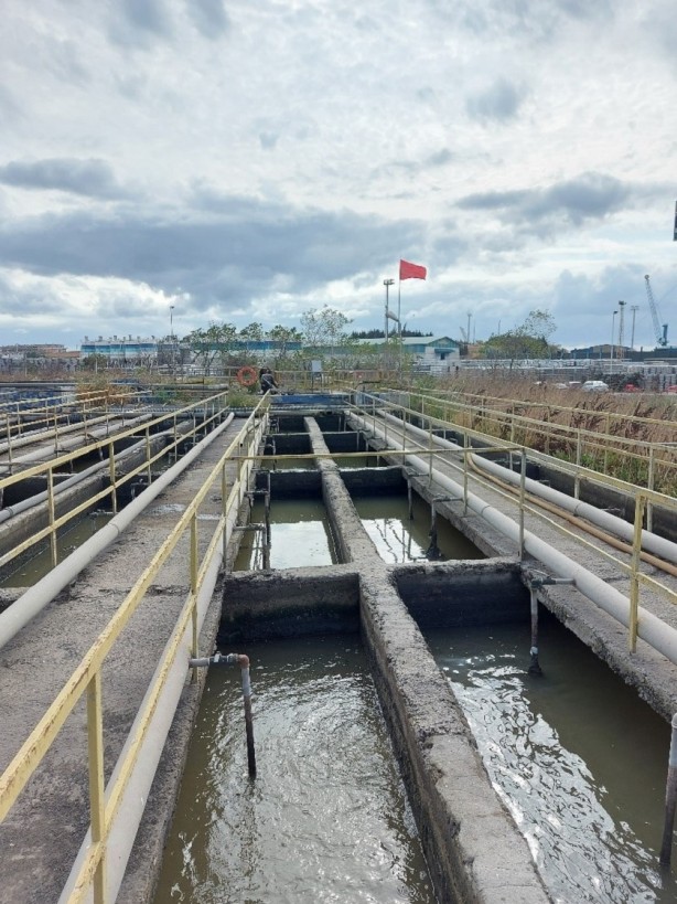 Foto - Marmara’nın suyu mercek altında alındı