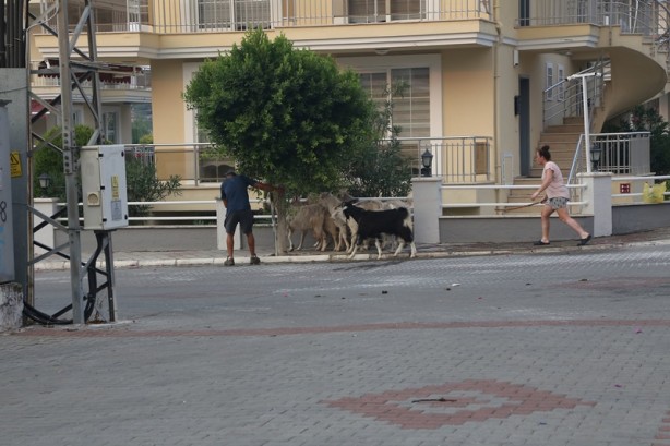 Foto - Marmaris alev alev! İşte son görüntüler
