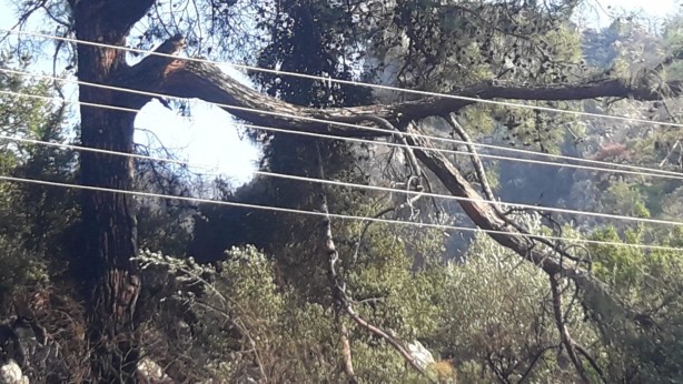 Foto - Marmaris'te korkutan orman yangınının çıkış sebebi belli oldu