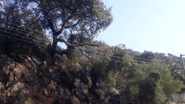 Foto - Marmaris'te korkutan orman yangınının çıkış sebebi belli oldu