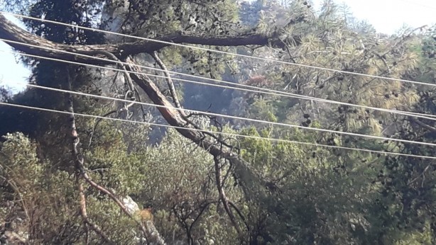 Foto - Marmaris'te korkutan orman yangınının çıkış sebebi belli oldu