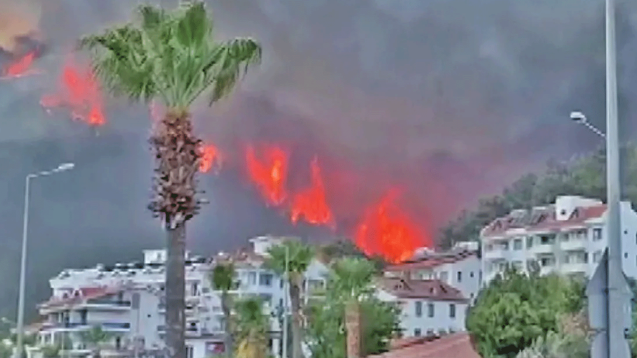 Foto - Marmaris'te üzen gerçek ortaya çıktı
