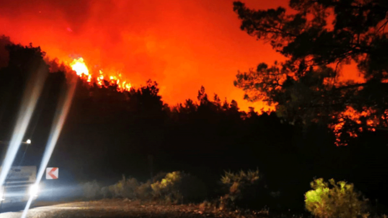 Foto - Marmaris'te üzen gerçek ortaya çıktı