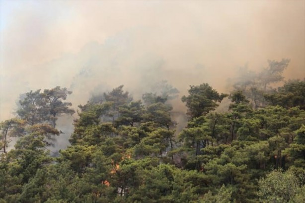 Foto - Marmaris’ten iç acıtan kareler! Yangın öncesi ve sonrası havadan görüntülendi