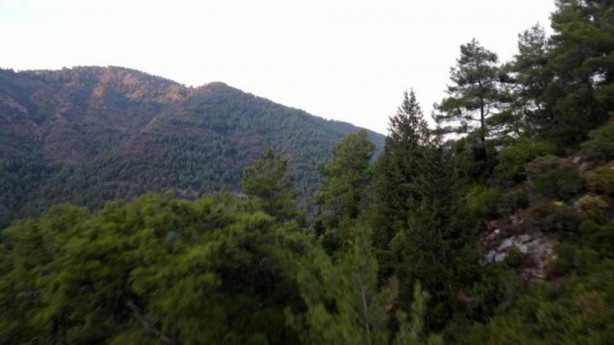 Foto - Marmaris’ten iç acıtan kareler! Yangın öncesi ve sonrası havadan görüntülendi
