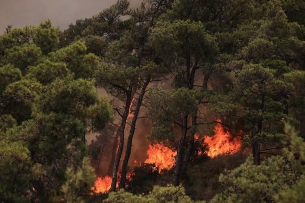 Foto - Marmaris’ten iç acıtan kareler! Yangın öncesi ve sonrası havadan görüntülendi