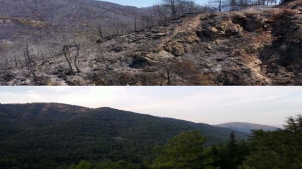 Marmaris’ten iç acıtan kareler! Yangın öncesi ve sonrası havadan görüntülendi