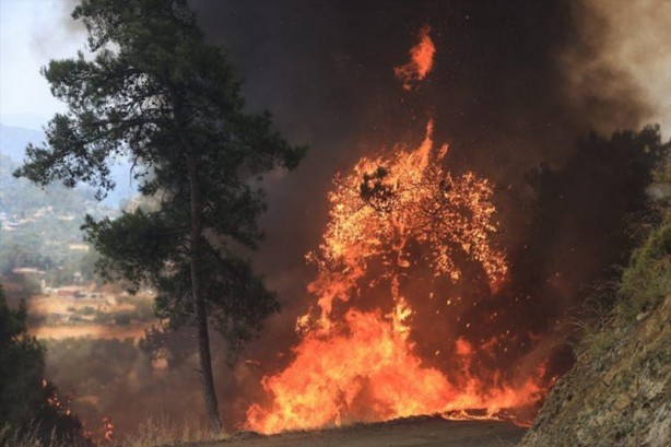 Foto - Marmaris’ten iç acıtan kareler! Yangın öncesi ve sonrası havadan görüntülendi