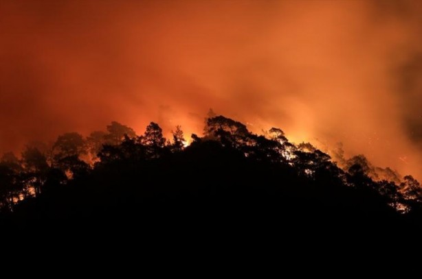 Foto - Marmaris’ten iç acıtan kareler! Yangın öncesi ve sonrası havadan görüntülendi