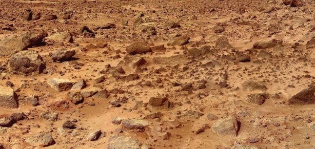 Mars’ı yeşertecek yosun Çin'de araştırıldı