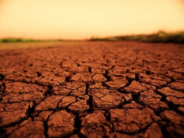 Mars'ta bakın ne bulundu! Şok olacaksınız