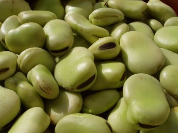 Foto - Mart ayında bu besinleri tüketin!