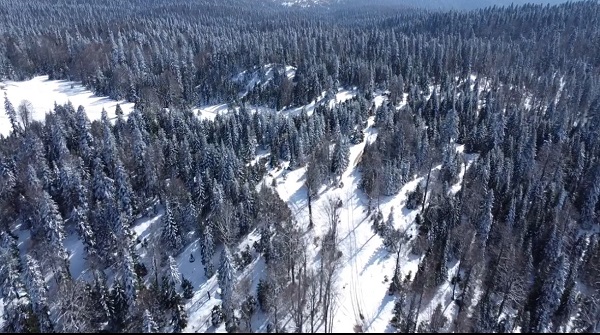 Foto - Mart kapıdan baktırdı ortaya bu manzara çıktı