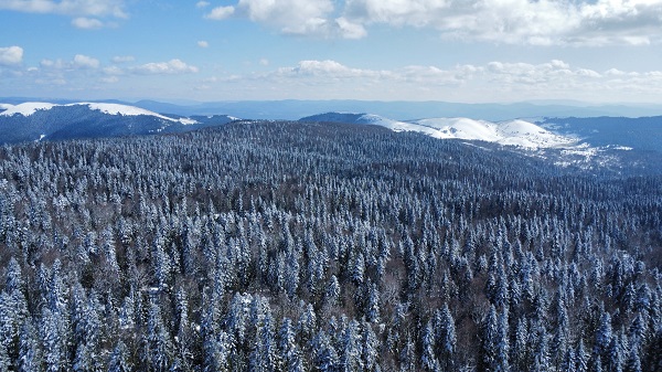 Foto - Mart kapıdan baktırdı ortaya bu manzara çıktı
